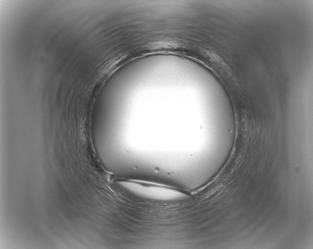 X0000051901217200507222033