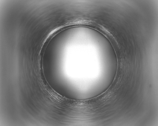 X0000051901222200507222033