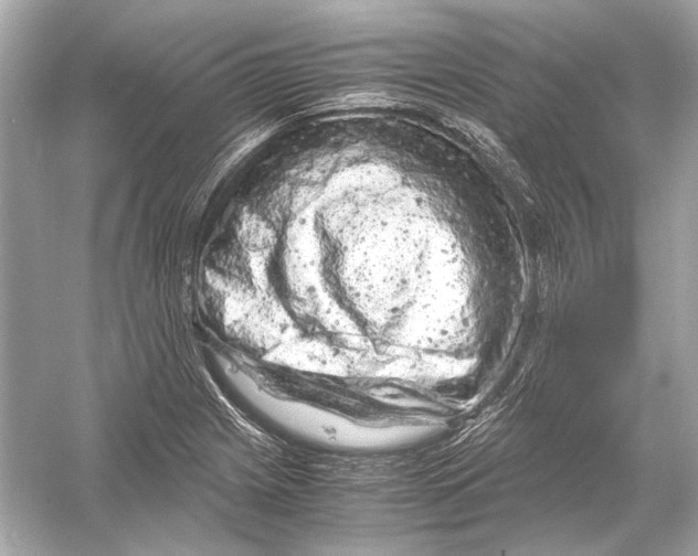 X0000051901225200507222033
