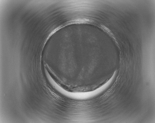 X0000051901226200507222033