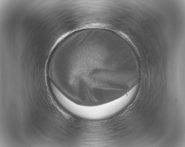 X0000051901230200507222033
