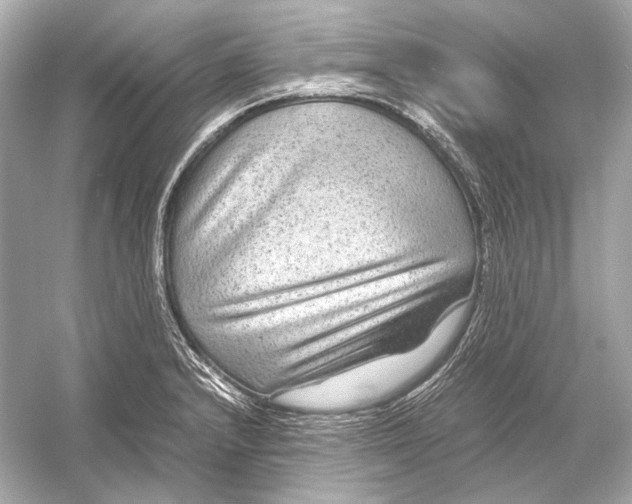 X0000051901232200507222033