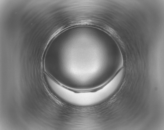 X0000051901234200507222033