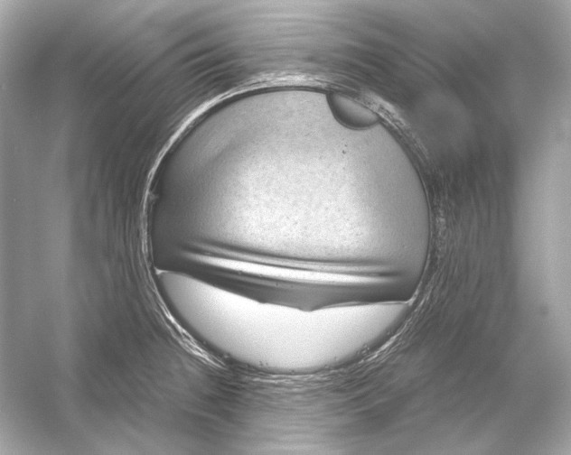 X0000051901236200507222033