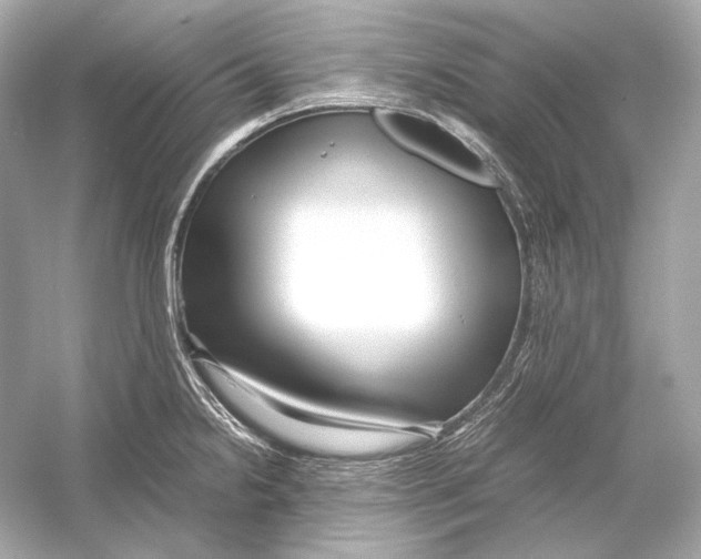 X0000051901238200507222033
