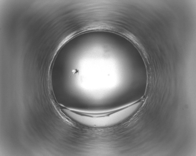 X0000051901242200507222034