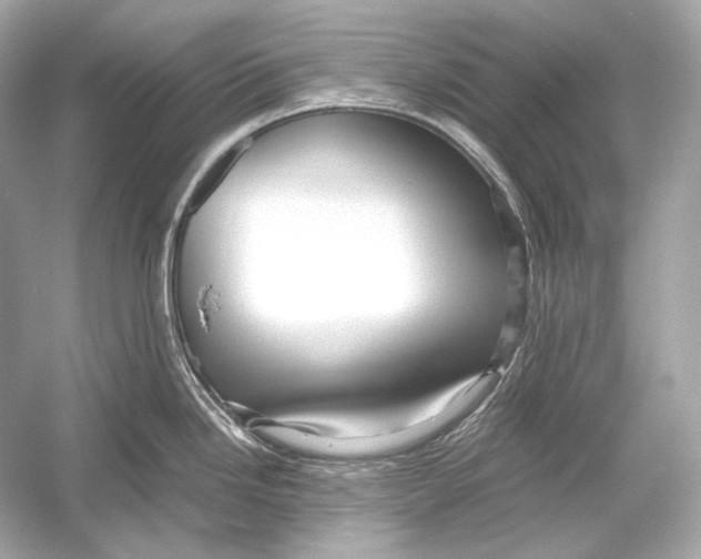 X0000051901246200507222034
