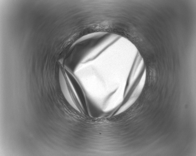 X0000051901250200507222033