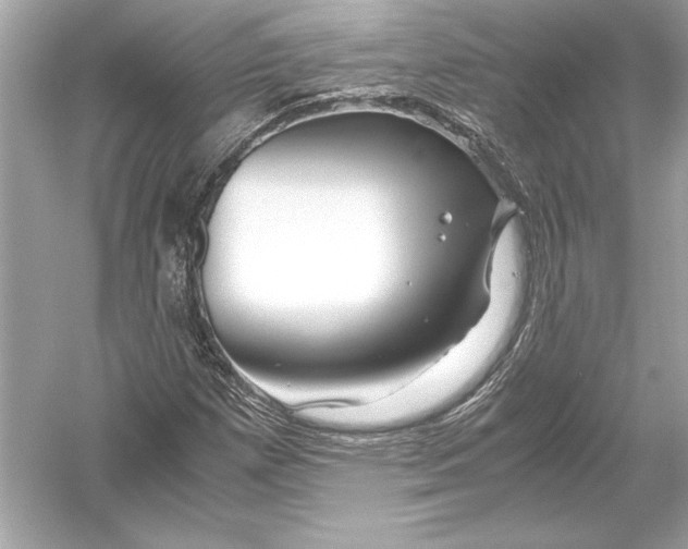 X0000051901257200507222033