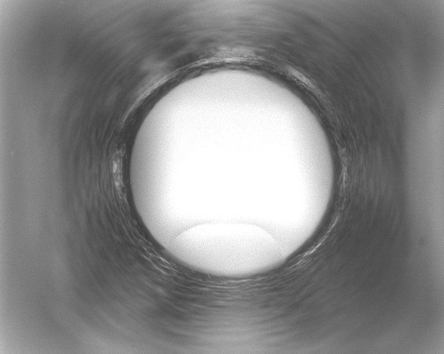 X0000051901258200507222033