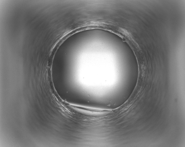 X0000051901260200507222033