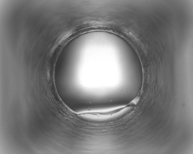 X0000051901261200507222033