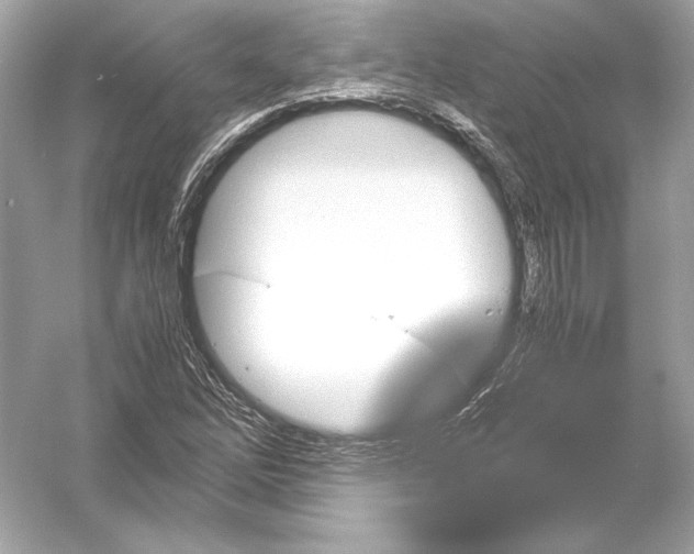 X0000051901262200507222033