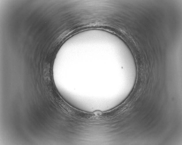 X0000051901265200507222033