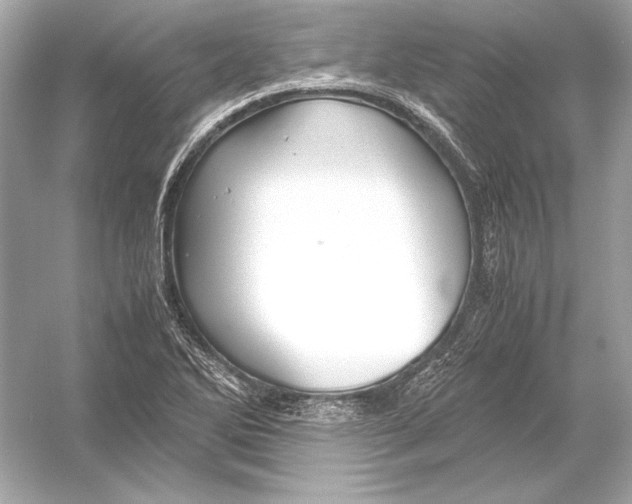 X0000051901270200507222032