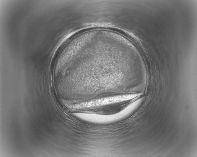 X0000051901271200507222032