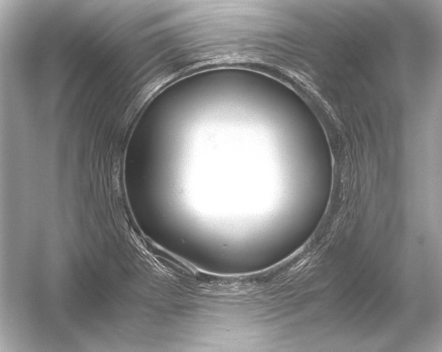X0000051901273200507222032