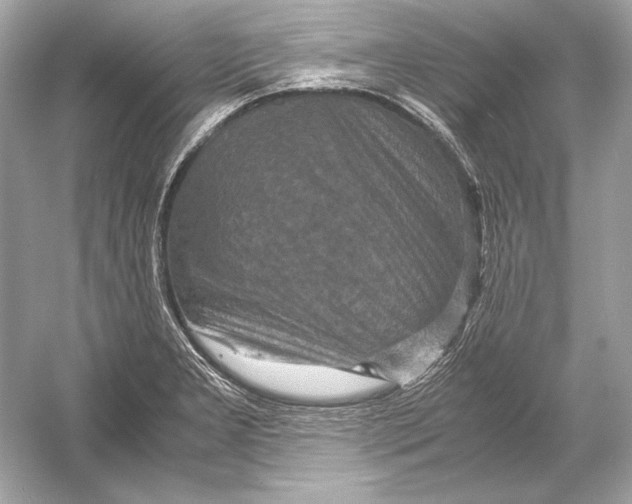 X0000051901277200507222032