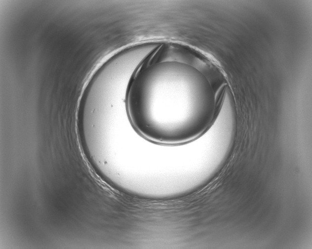 X0000051901279200507222032