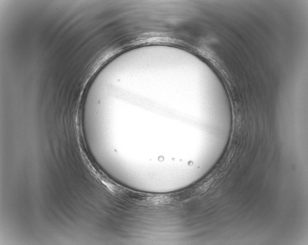 X0000051901282200507222032