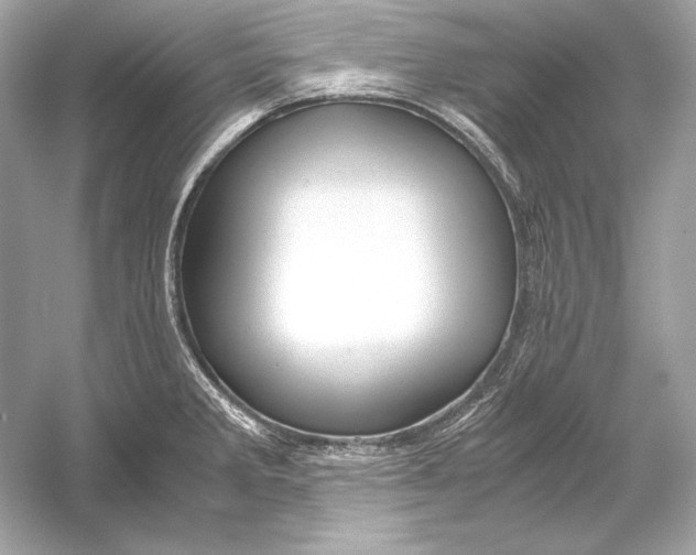 X0000051901285200507222032