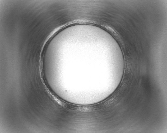 X0000051901286200507222032