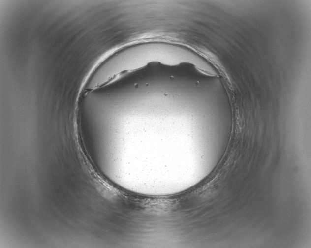 X0000051901288200507222032