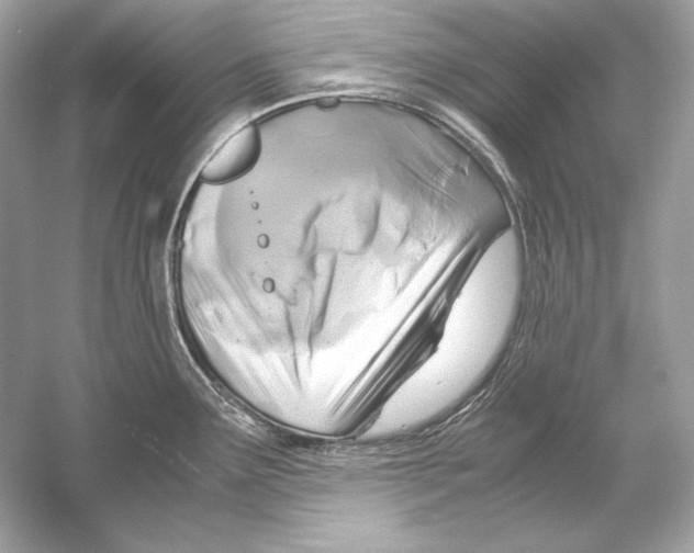 X0000051901291200507222032