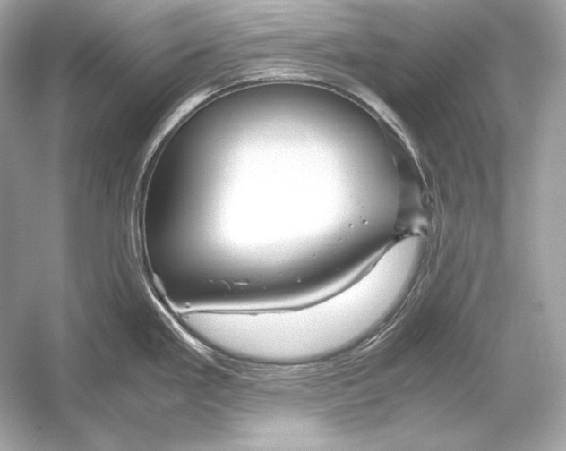 X0000051901293200507222032