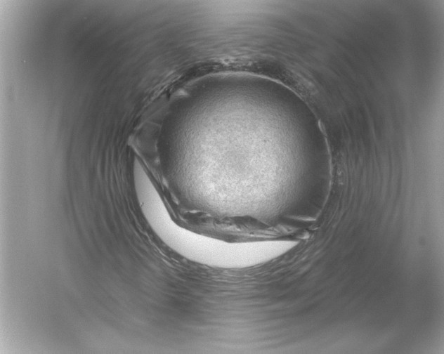 X0000051901298200507222031