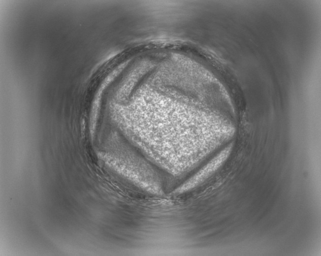 X0000051901302200507222031