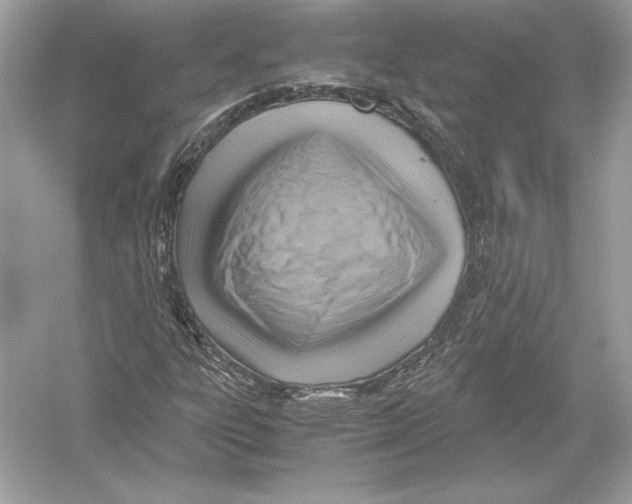X0000051901303200507222031