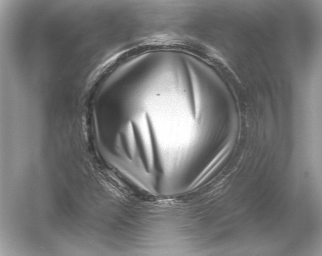 X0000051901304200507222031