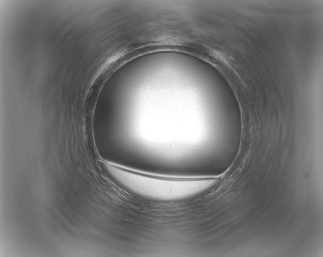 X0000051901307200507222031