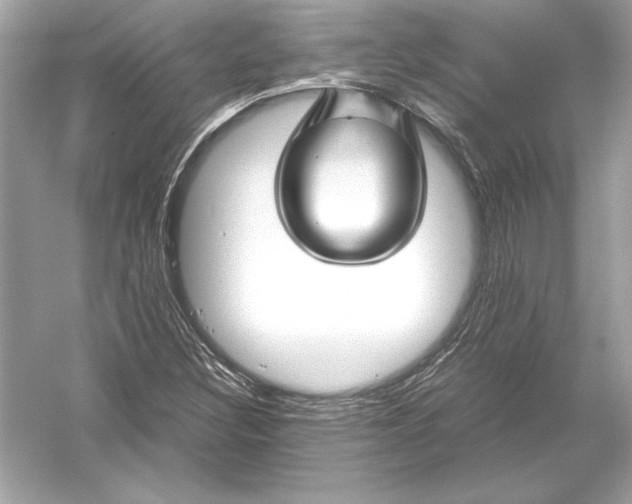 X0000051901308200507222031