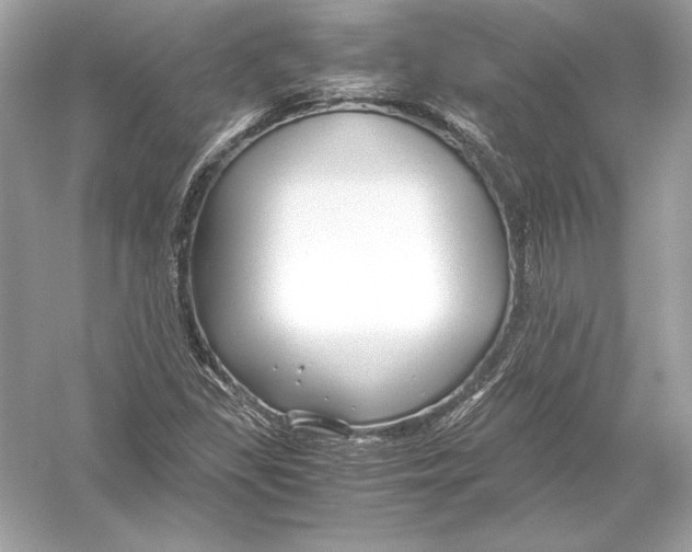X0000051901309200507222031