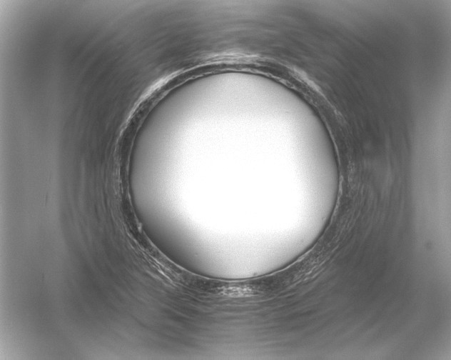 X0000051901315200507222031