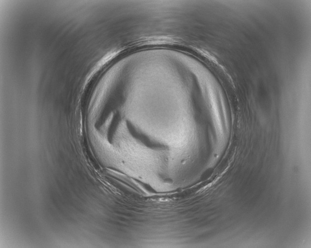 X0000051901317200507222032