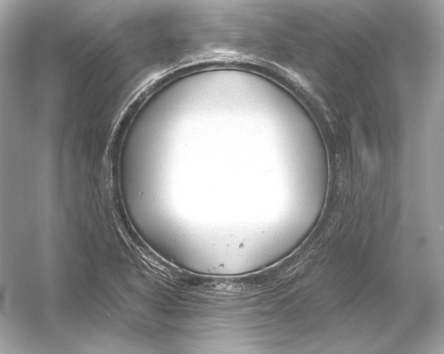 X0000051901318200507222032