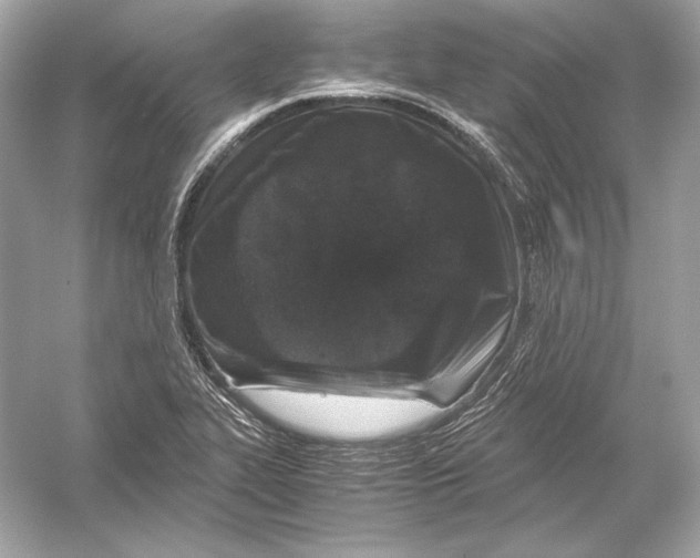 X0000051901319200507222032