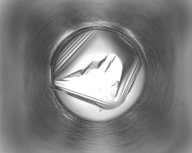 X0000051901320200507222032
