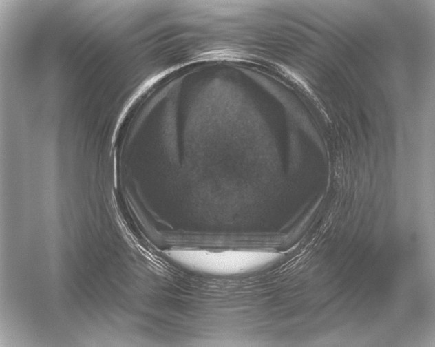 X0000051901323200507222032