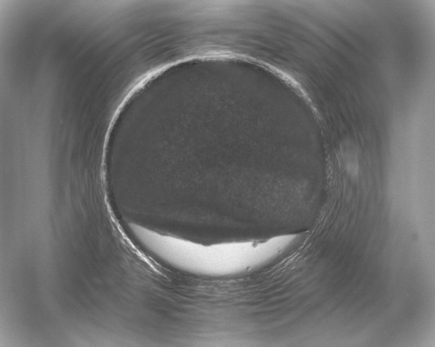 X0000051901327200507222032