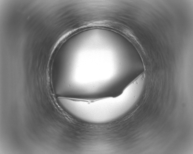 X0000051901328200507222032