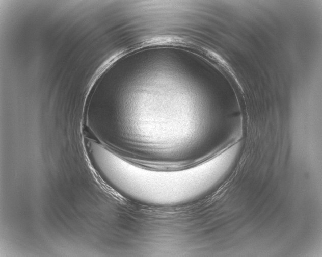 X0000051901330200507222032