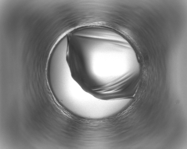 X0000051901332200507222032
