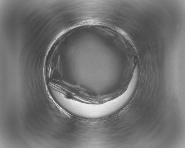 X0000051901334200507222032