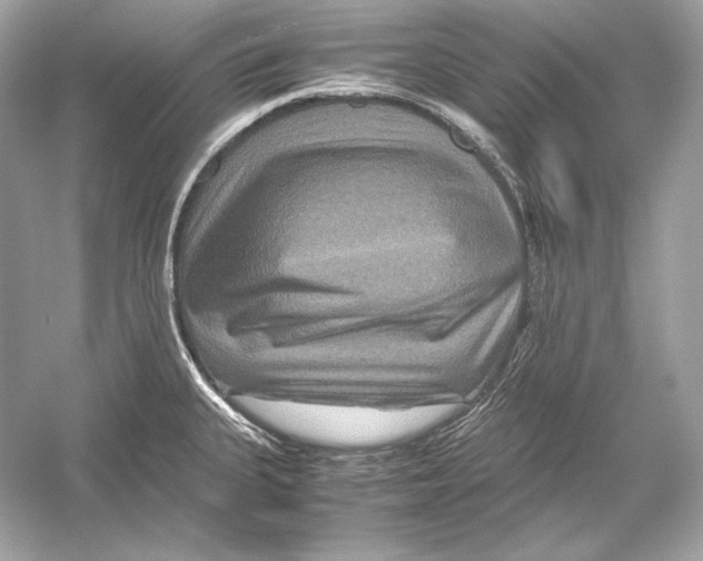 X0000051901335200507222032