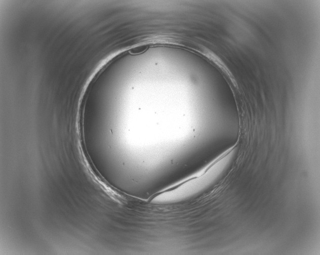 X0000051901339200507222032