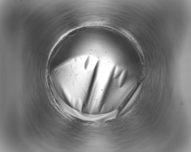 X0000051901340200507222032